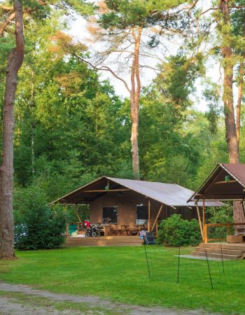 lieu de vacances dans l'Oise près de Compiègne et Soissons en fôret. Prestations de massages pour Camping haut de gamme, gîtes et chambres d'hôtes.